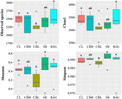 Effects of Clostridium butyricum, Sodium Butyrate, and Butyric Acid Glycerides on the Reproductive Performance, Egg Quality, Intestinal Health, and Offspring Performance of Yellow-Feathered Breeder Hens